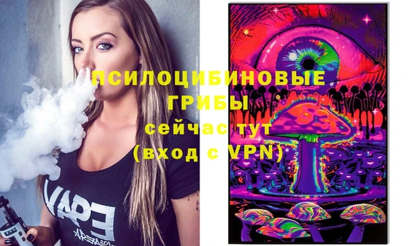 соль ск Грязовец