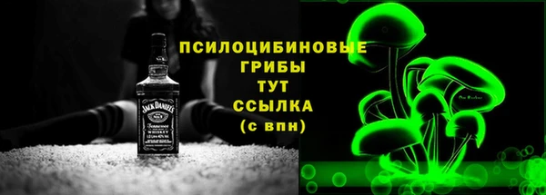 spice Грязи