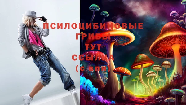 первитин Дедовск