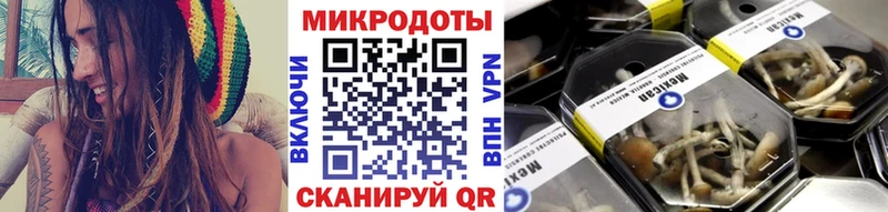 darknet как зайти  Сольвычегодск  Псилоцибиновые грибы ЛСД 